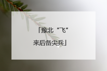 豫北“飞”来后备尖兵