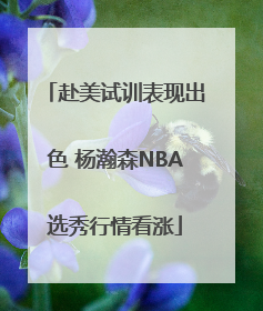 赴美试训表现出色 杨瀚森NBA选秀行情看涨