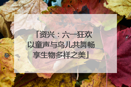 资兴：六一狂欢 以童声与鸟儿共舞畅享生物多样之美