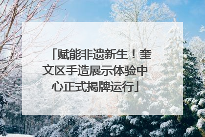 赋能非遗新生！奎文区手造展示体验中心正式揭牌运行