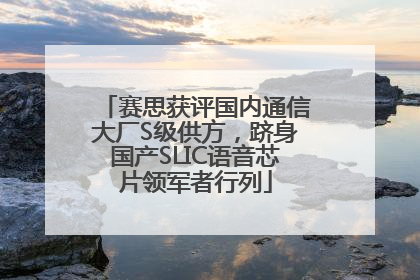 赛思获评国内通信大厂S级供方，跻身国产SLIC语音芯片领军者行列