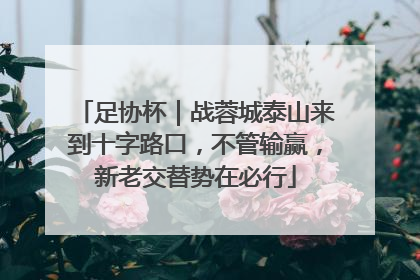 足协杯｜战蓉城泰山来到十字路口，不管输赢，新老交替势在必行