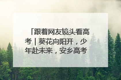 跟着网友镜头看高考｜葵花向阳开，少年赴未来，安乡高考首日的希望图景
