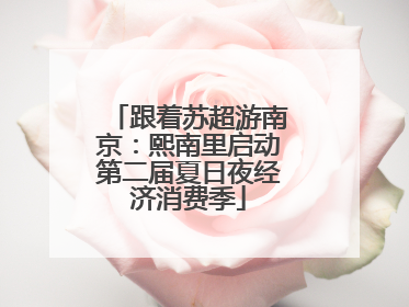 跟着苏超游南京：熙南里启动第二届夏日夜经济消费季