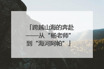 跨越山海的奔赴——从“杨老师”到“海河阿帕”