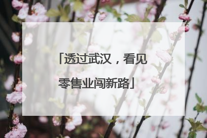 透过武汉，看见零售业闯新路