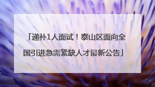 递补1人面试！泰山区面向全国引进急需紧缺人才最新公告