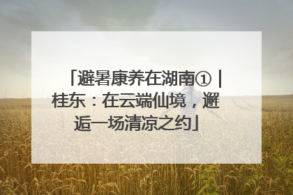 避暑康养在湖南①｜桂东：在云端仙境，邂逅一场清凉之约
