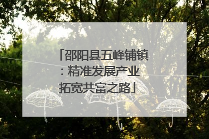 邵阳县五峰铺镇：精准发展产业 拓宽共富之路