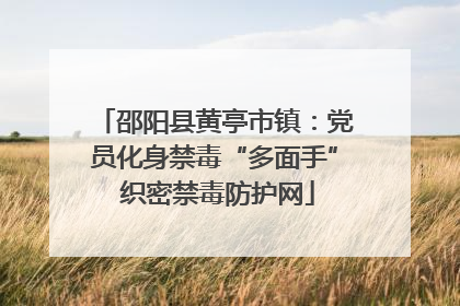 邵阳县黄亭市镇：党员化身禁毒“多面手” 织密禁毒防护网