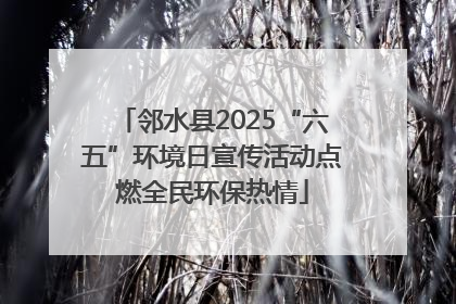 邻水县2025“六五”环境日宣传活动点燃全民环保热情