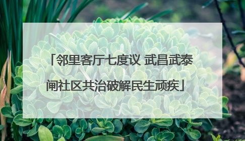 邻里客厅七度议 武昌武泰闸社区共治破解民生顽疾