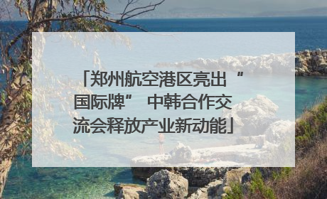 郑州航空港区亮出“国际牌” 中韩合作交流会释放产业新动能