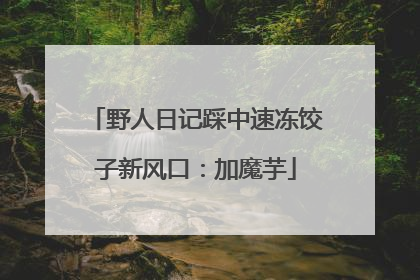 野人日记踩中速冻饺子新风口：加魔芋