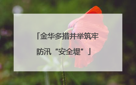 金华多措并举筑牢防汛“安全堤”