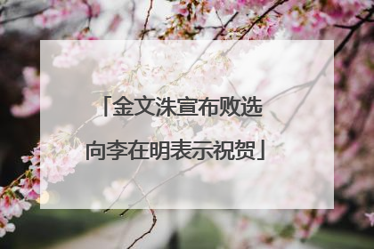 金文洙宣布败选 向李在明表示祝贺