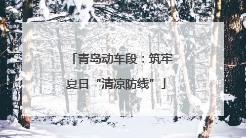 青岛动车段：筑牢夏日“清凉防线”