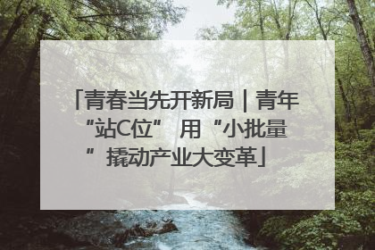 青春当先开新局｜青年“站C位” 用“小批量”撬动产业大变革
