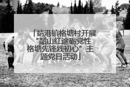 靖港镇格塘村开展“韶山红途砺党性 格塘先锋践初心”主题党日活动