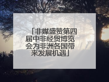 非媒盛赞第四届中非经贸博览会为非洲各国带来发展机遇
