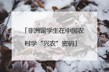 非洲留学生在中国农村学“兴农”密码