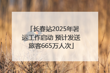 长春站2025年暑运工作启动 预计发送旅客665万人次