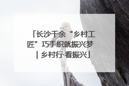 长沙千余“乡村工匠”巧手织就振兴梦｜乡村行·看振兴