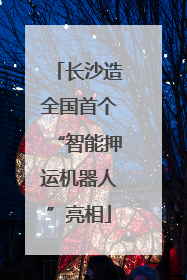 长沙造全国首个“智能押运机器人”亮相