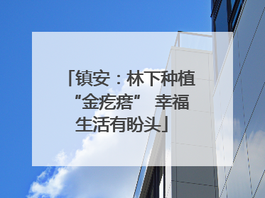 镇安：林下种植“金疙瘩” 幸福生活有盼头