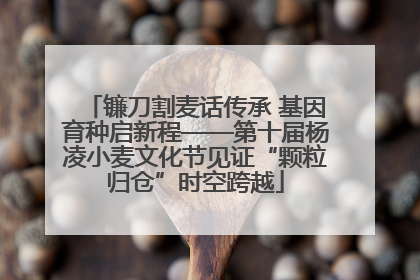 镰刀割麦话传承 基因育种启新程——第十届杨凌小麦文化节见证“颗粒归仓”时空跨越