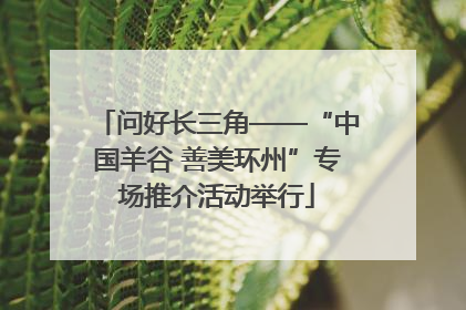 问好长三角——“中国羊谷 善美环州”专场推介活动举行