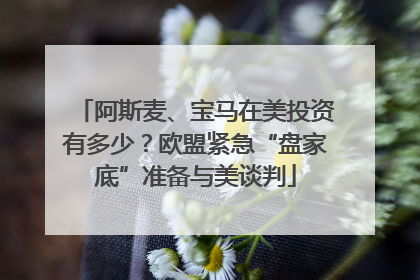 阿斯麦、宝马在美投资有多少？欧盟紧急“盘家底”准备与美谈判