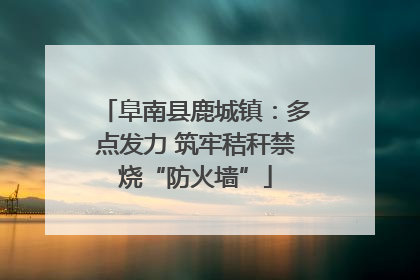 阜南县鹿城镇：多点发力 筑牢秸秆禁烧“防火墙”