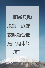 阳新县陶港镇：近郊农旅融合催热“周末经济”