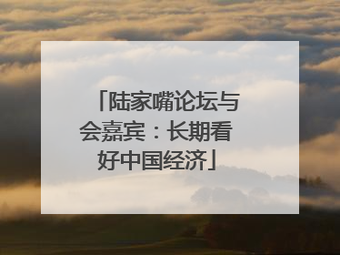 陆家嘴论坛与会嘉宾：长期看好中国经济