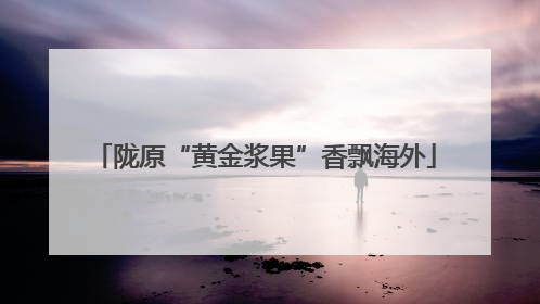 陇原“黄金浆果”香飘海外