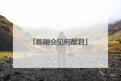陈刚会见何猷君