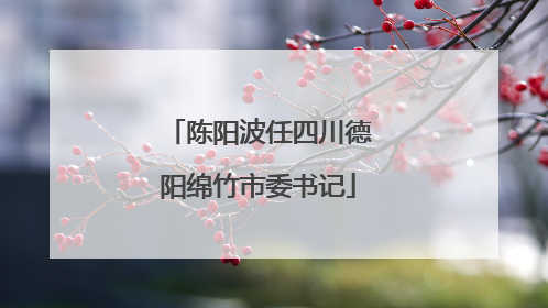 陈阳波任四川德阳绵竹市委书记