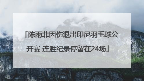陈雨菲因伤退出印尼羽毛球公开赛 连胜纪录停留在24场