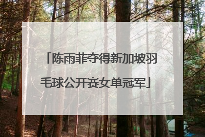 陈雨菲夺得新加坡羽毛球公开赛女单冠军