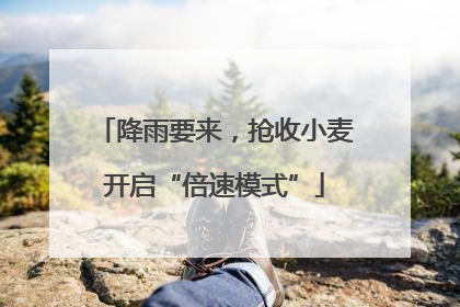 降雨要来，抢收小麦开启“倍速模式”