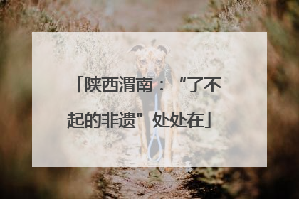 陕西渭南：“了不起的非遗”处处在