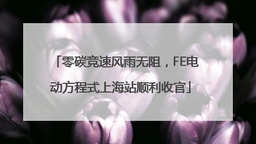 零碳竞速风雨无阻，FE电动方程式上海站顺利收官