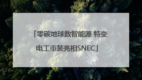 零碳地球数智能源 特变电工重装亮相SNEC