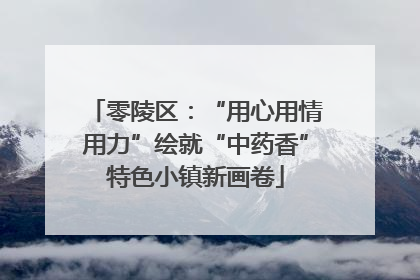零陵区：“用心用情用力”绘就“中药香”特色小镇新画卷