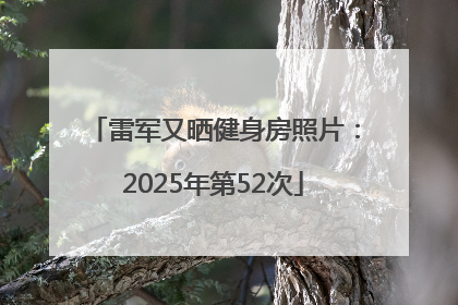 雷军又晒健身房照片：2025年第52次