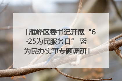 雁峰区委书记开展“6·25为民服务日” 暨为民办实事专题调研