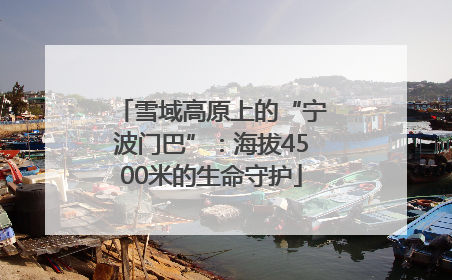 雪域高原上的“宁波门巴”：海拔4500米的生命守护