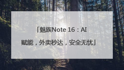 魅族Note 16：AI赋能，外卖秒达，安全无忧