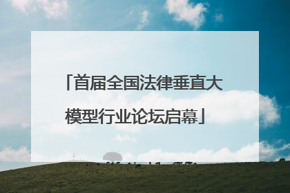 首届全国法律垂直大模型行业论坛启幕